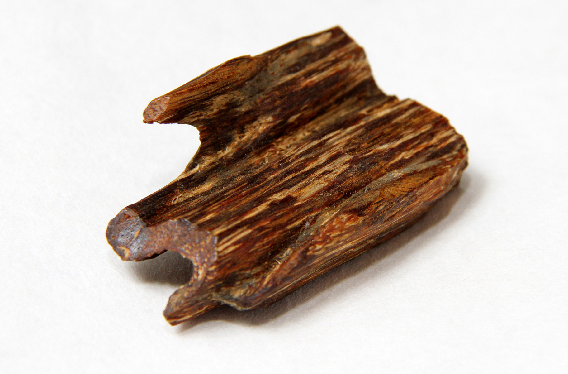 香木（伽羅・沈香）珊瑚